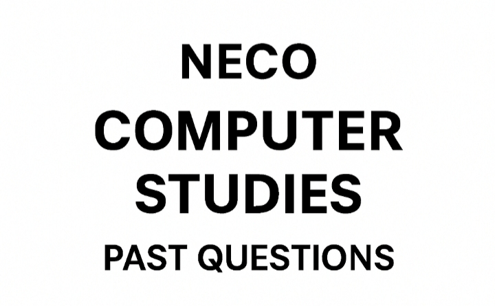 NECO Computer Studies past questions pdf
